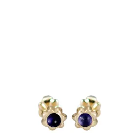 10K Gold Tiny Star Flower Stud with Iolite