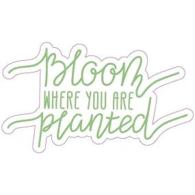 Bloom Where Planted Sticker