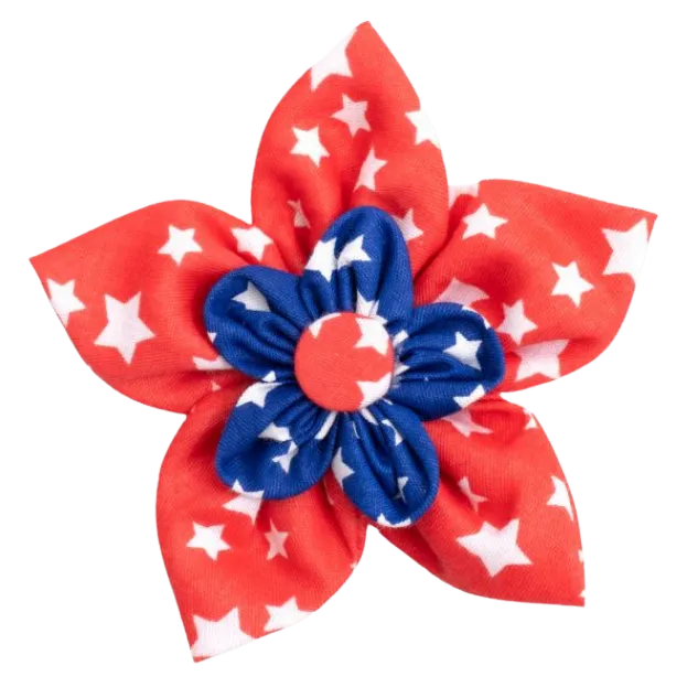 Collar Flower | Stars