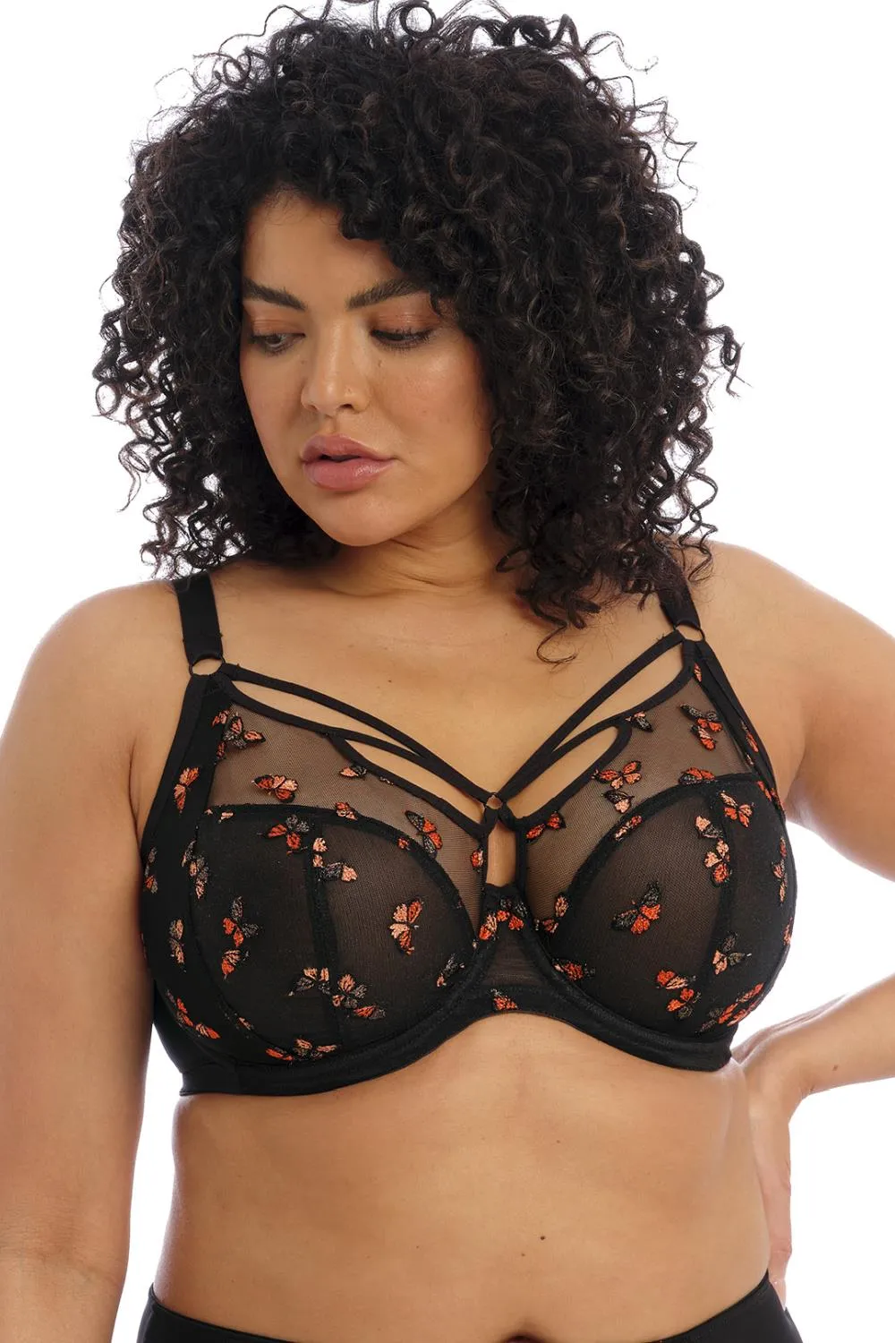 Elomi Sachi Plunge Bra, Black Butterfly (EL4353)