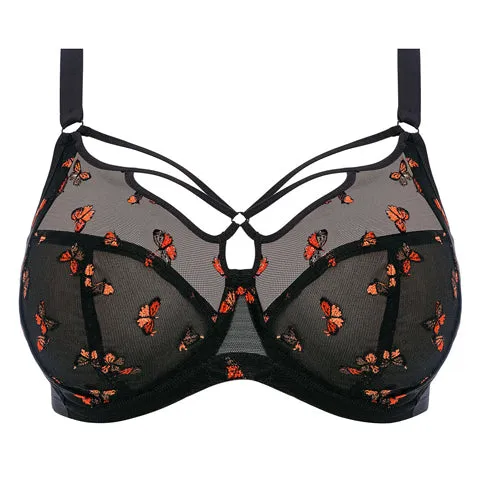 Elomi Sachi Plunge Bra Black Butterfly