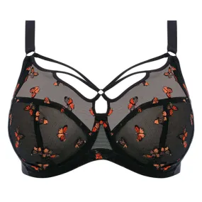 Elomi Sachi Plunge Bra Black Butterfly