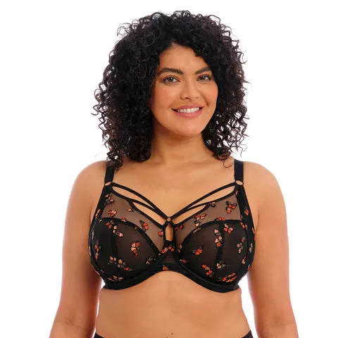 Elomi Sachi Plunge Bra Black Butterfly