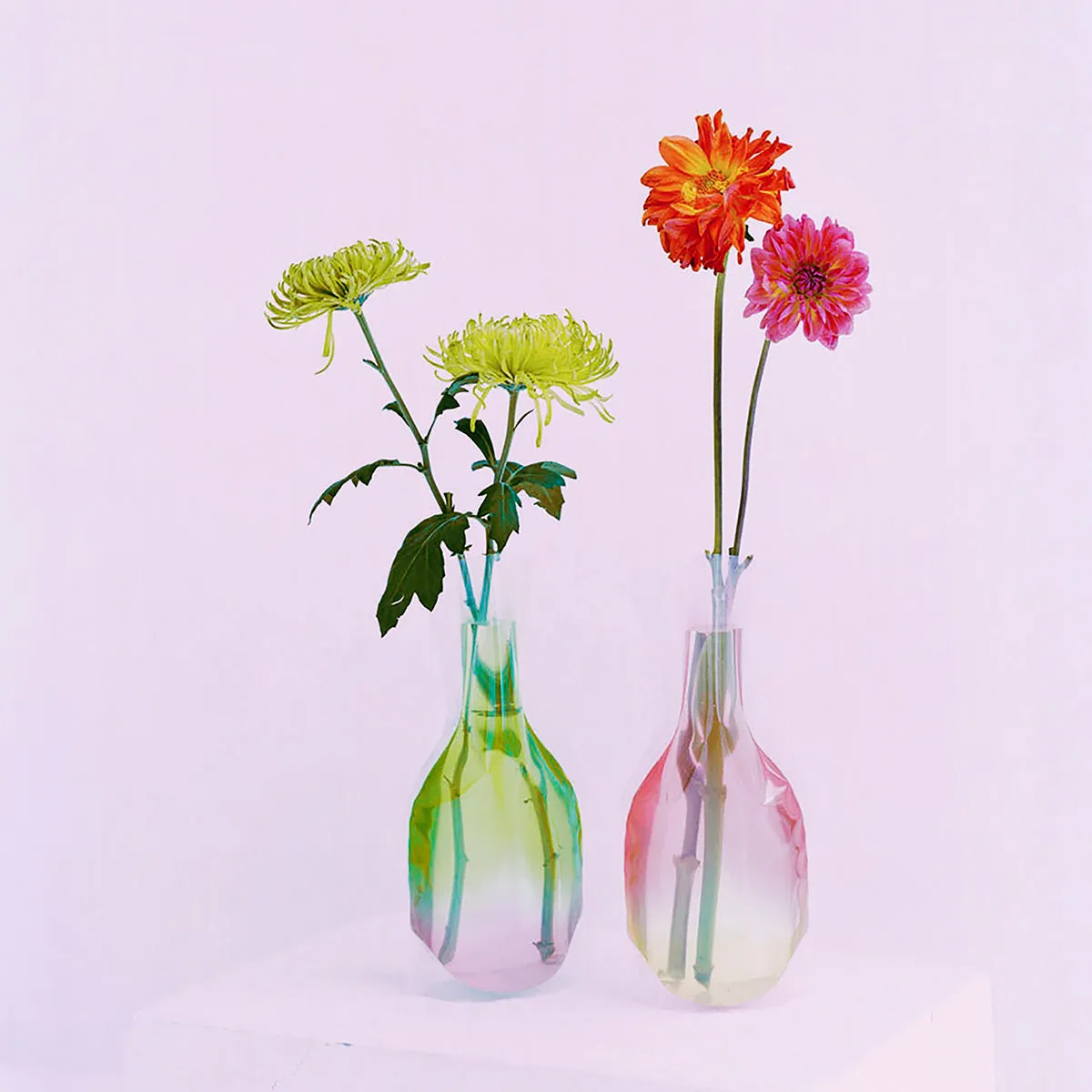 Flower Vase (Gradient)