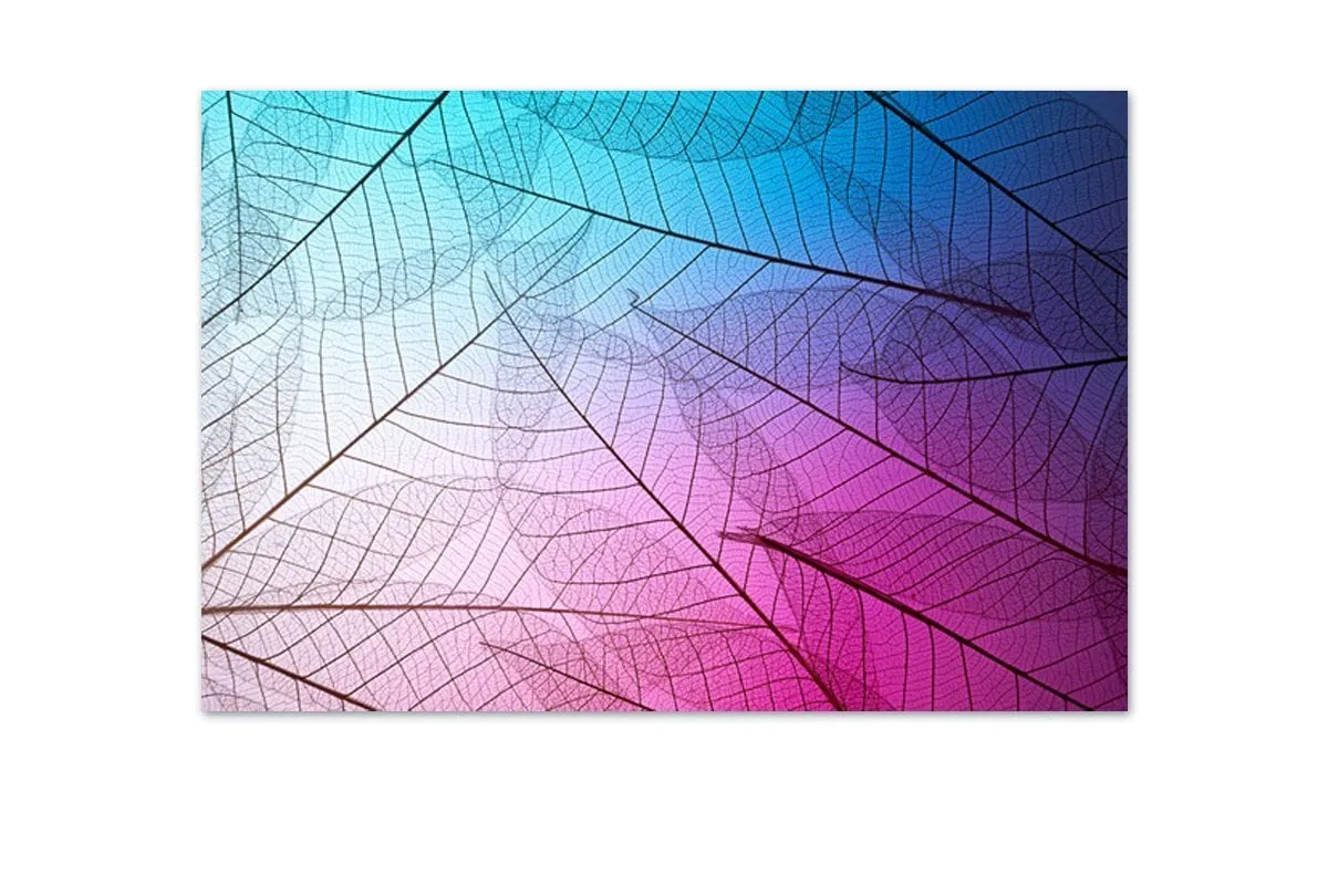 Luminous Leaves | Canvas Art Print