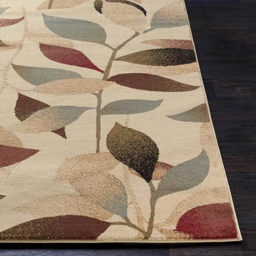 Nolan Transitional Brown Area Rug Carpet for Living Room Bedroom or Kitchen