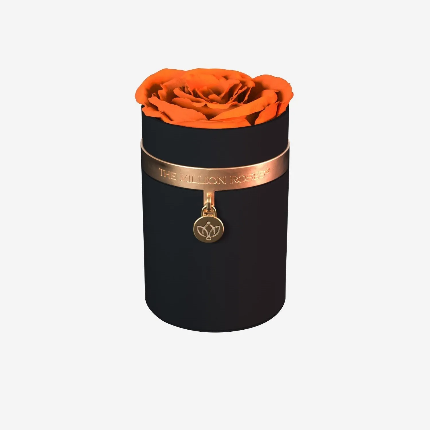 One in a Million™ Round Black Box | Charm Edition | Orange Rose