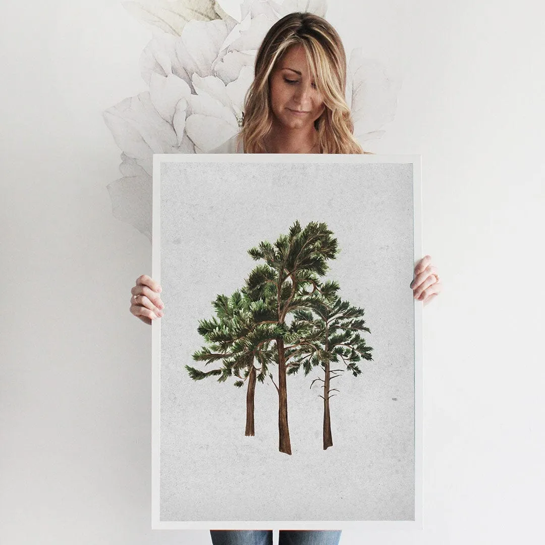 West Coast Forest Art Print