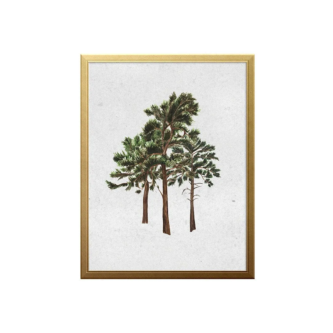 West Coast Forest Art Print